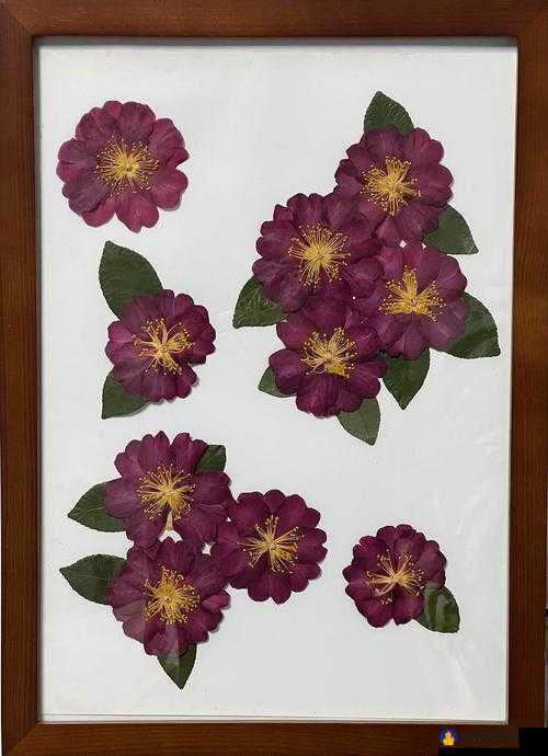 创意捻压花核：展现花卉之美