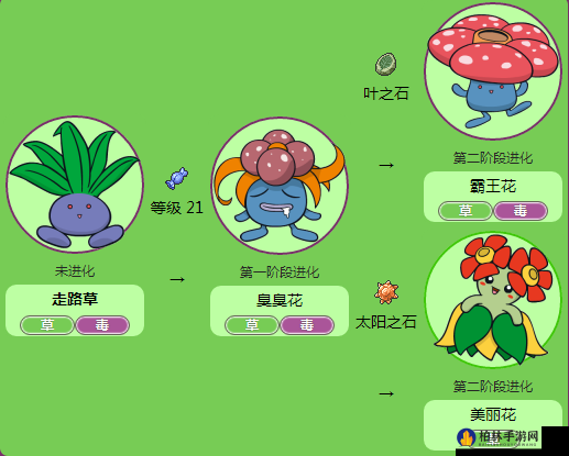 走路草进化等级全曝光!超详细宝可梦进化攻略手把手教学